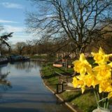 Spring by the River Soar