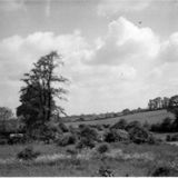 Pingle Field now Breachfield Road