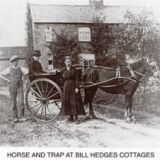 Horse and Trap at Bill Hedges cottages