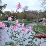 From bridge at Proctors