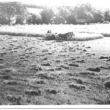 Bindering Oats At Cream Lodge,