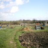 Allotments, Nottingham Road