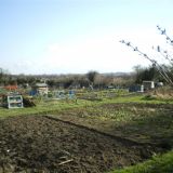 Allotments, Nottingham Road