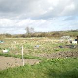 Allotments, Nottingham Road