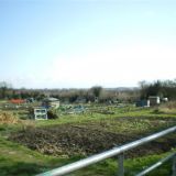 Allotments, Nottingham Road