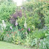 Open Gardens 2009