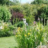 Open Gardens 2009