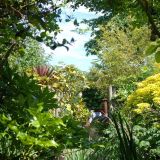 Open Gardens 2009