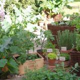 Open Gardens 2009