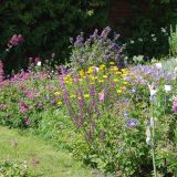 Open Gardens 2009