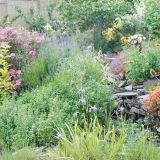 Open Gardens 2009