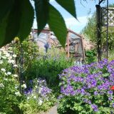 Open Gardens 2009