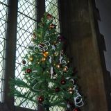 Tree No.49 by Barrow Methodist Church