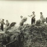 Land Army Girls;    Crookes Farm