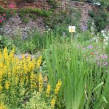 Open Gardens 2014