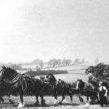 Harvest-time;  Cream Lodge Farm