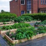 HPHS veg garden