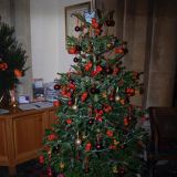 Tree No.6 by Barrow Gardening Club