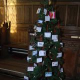 Tree No.41 by Barrow Business Forum