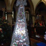 Tree No.5 by Hall Orchard CE Primary School