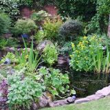 Open Gardens 2011