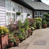 Open Gardens 2013