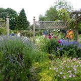 Open Gardens 2015