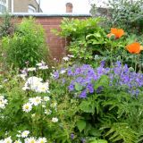 Open Gardens 2015