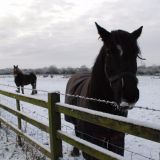 Winter as arrived in Barrow