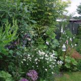 Open Gardens 2016