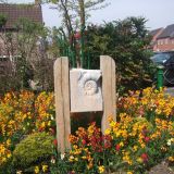 Wallflowers around a Barrow fossil sculpture