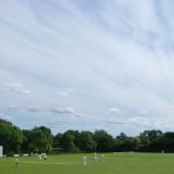 A good day for cricket