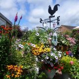 Barrow Open Gardens