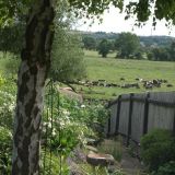 Barrow Open Gardens