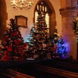 Christmas Tree Festival