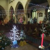 Christmas Tree Festival