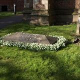 Snowdrops at Holy Trinity