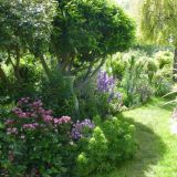 Barrow Open Gardens