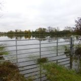 Yet More Flooding