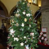 Christmas Tree Festival