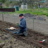 Nottingham Road Allotments 1.JPG