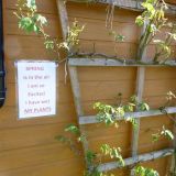 Highthorne Lane Allotment Shed.JPG