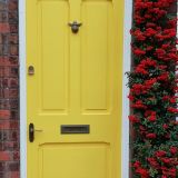 Yellow Door