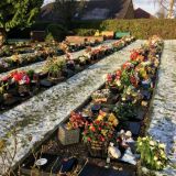 Snowy Cemetery