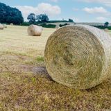 Hay Roll