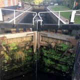 Barrow Deep Lock gate with plants .JPG