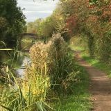Towpath in October