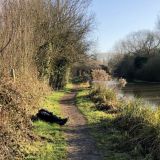 Towpath on Boxing Day