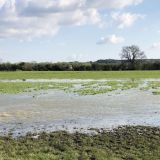 Flooded Soar