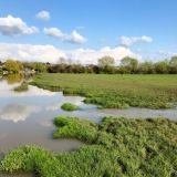 Flooded Soar